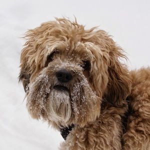 Meet your Posher, Jodi